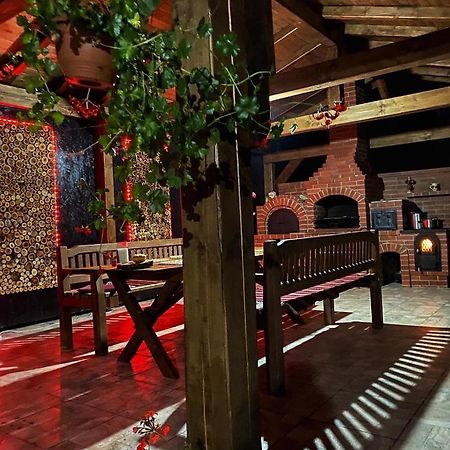 Vila Sorina Borsa  Kültér fotó