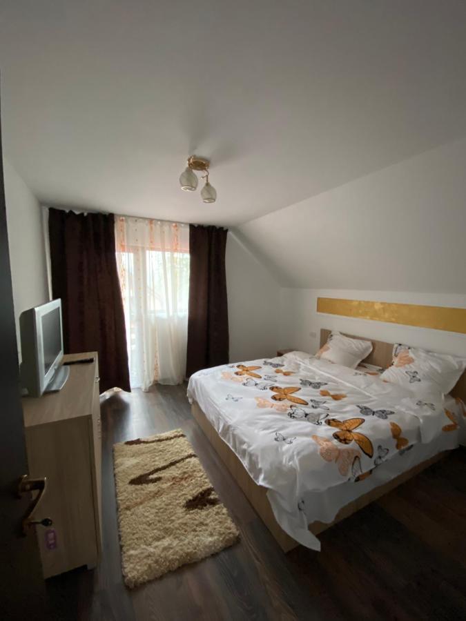 Vila Sorina Borsa  Kültér fotó