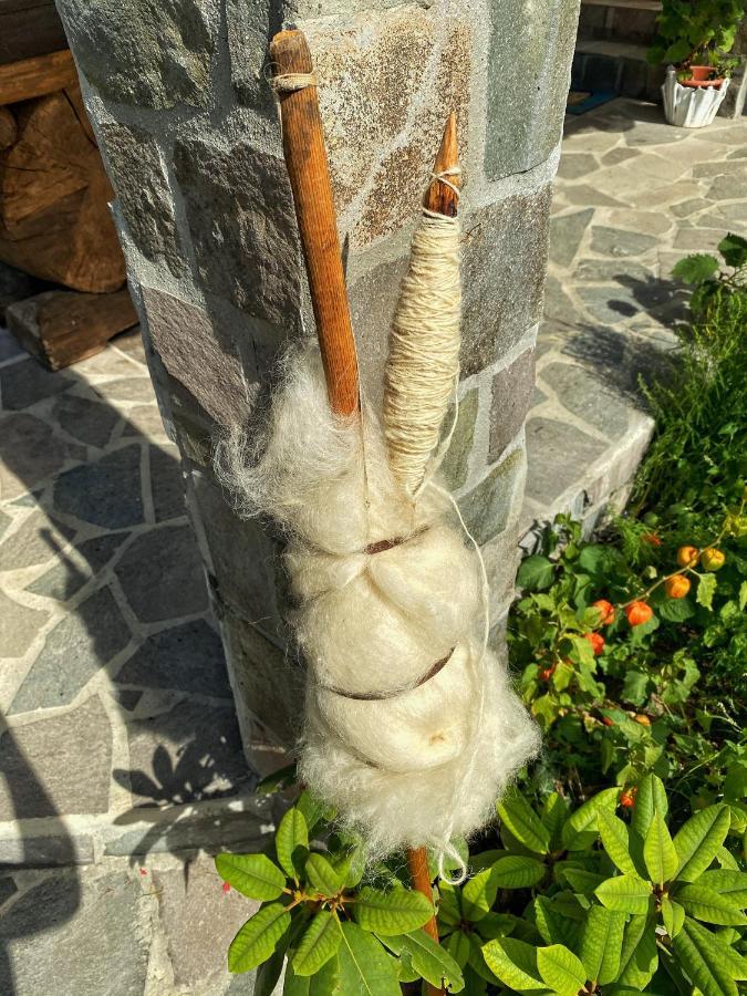 Vila Sorina Borsa  Kültér fotó