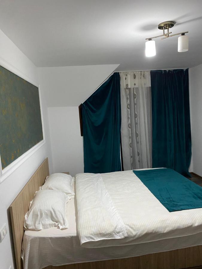 Vila Sorina Borsa  Kültér fotó