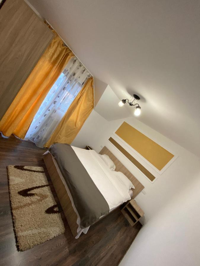 Vila Sorina Borsa  Kültér fotó