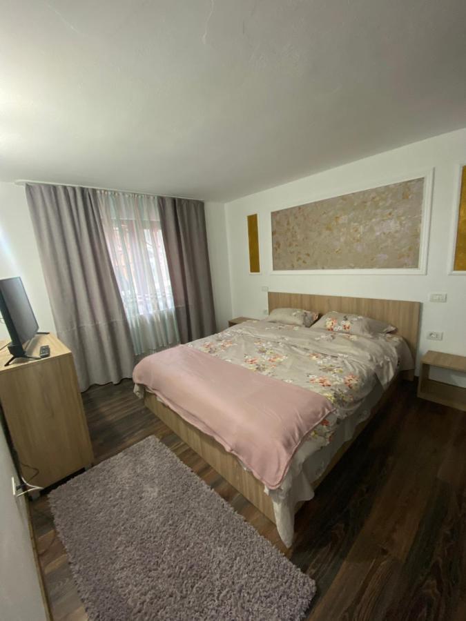 Vila Sorina Borsa  Kültér fotó